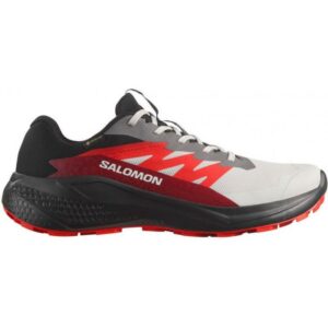 Salomon Alphaglide Gtx