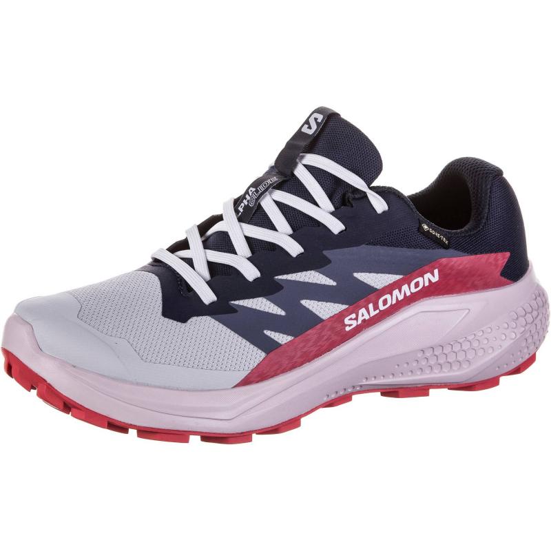 Salomon Alphaglide Gtx W - Bilde 2